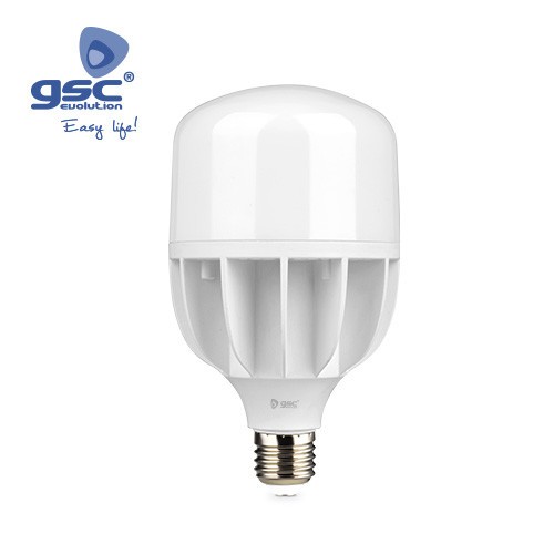 Lampe Industrielle 30W E27 5000K