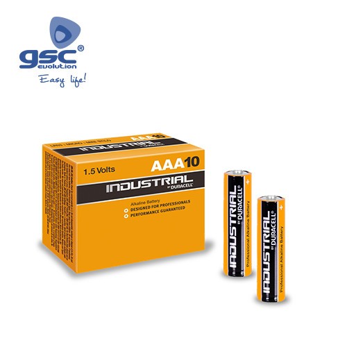 Boîte 10 Piles Alcaline Duracell Industriel LR03(AAA)
