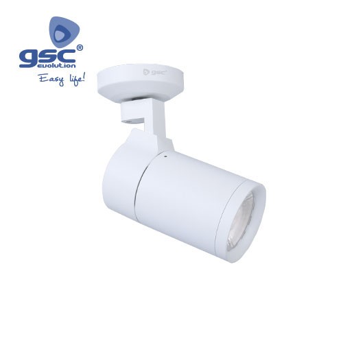 Projecteur Saillie LED 30W 4000K Blanc