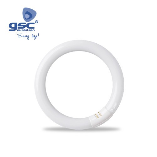 Tube Fluo. Circulaire T9 Triphosphore 22W G10q 216mm